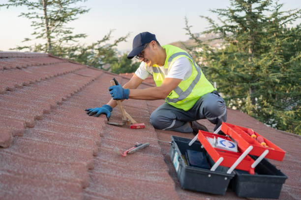 Best Roof Maintenance Services  in New Bedford, PA